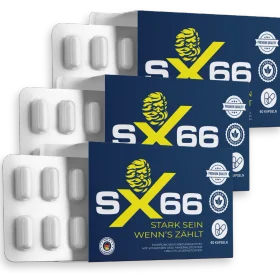 SX66 Produktbild